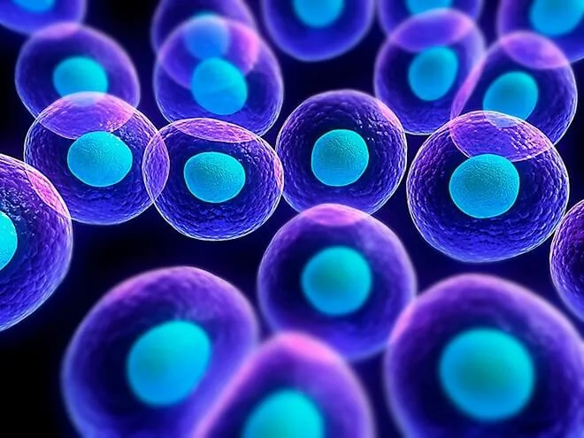Clase de biología para secundaria