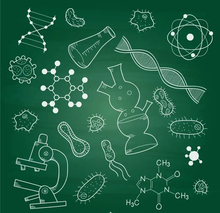 Clases de biología para niños
