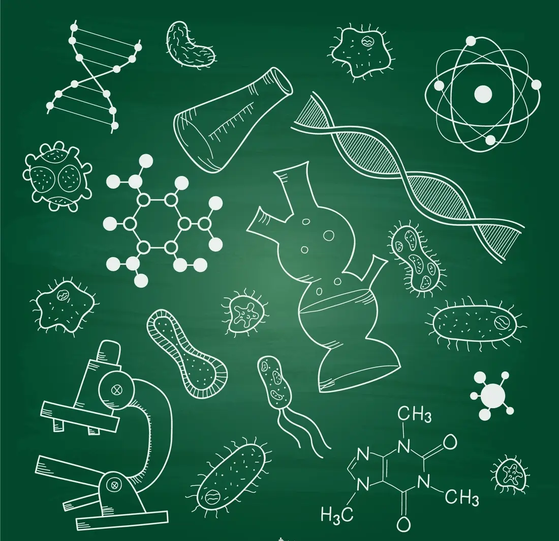 Clases de biología para niños