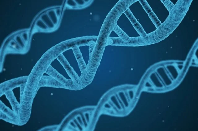 Clases de biología para secundaria