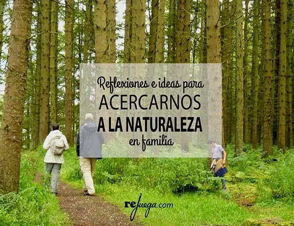 Clases de estímulos biología