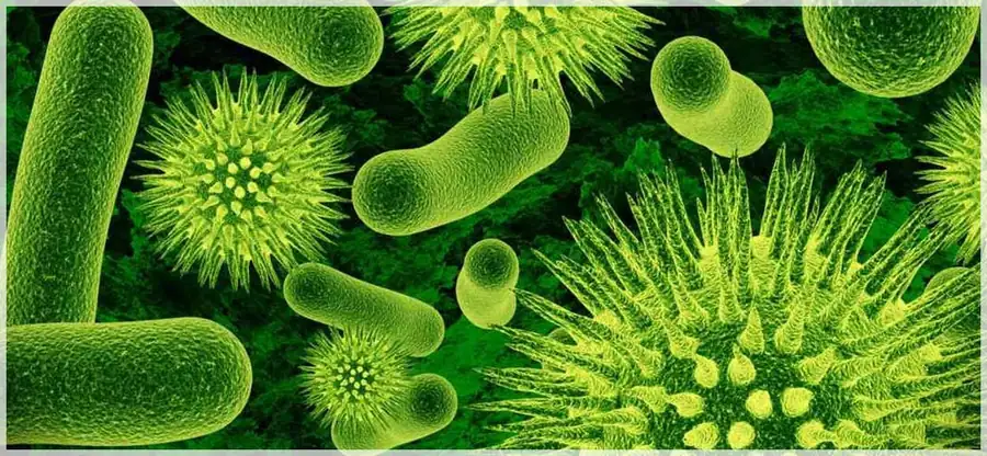 Clases divertidas de biología