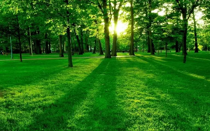 La biología ambiental