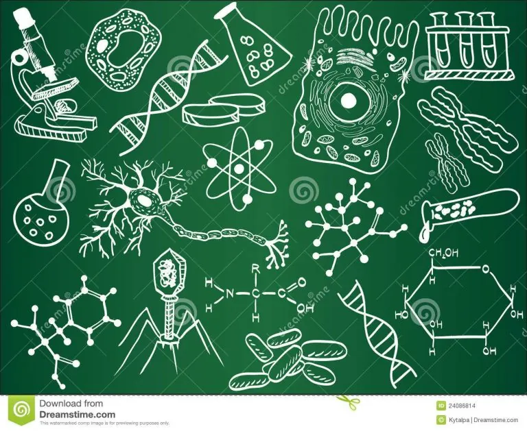 La biología como ciencia que estudia la vida