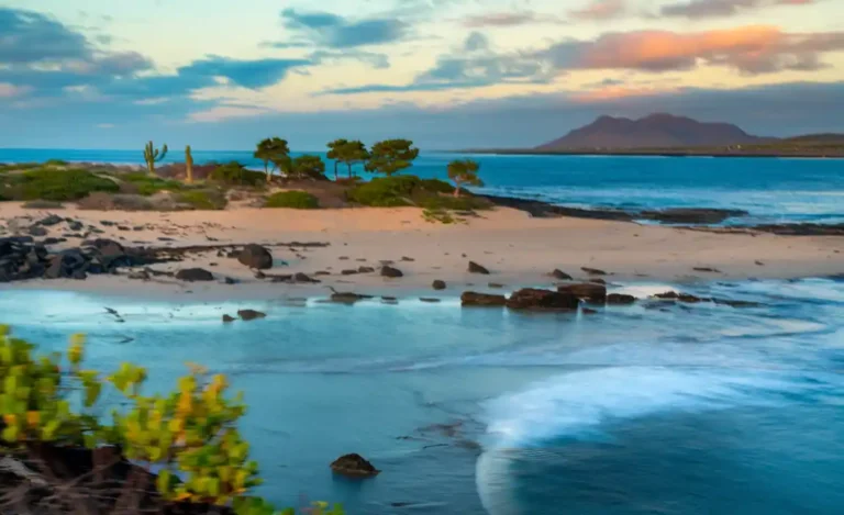 Mi viaje a las Islas Galápagos, una perspectiva creacionista