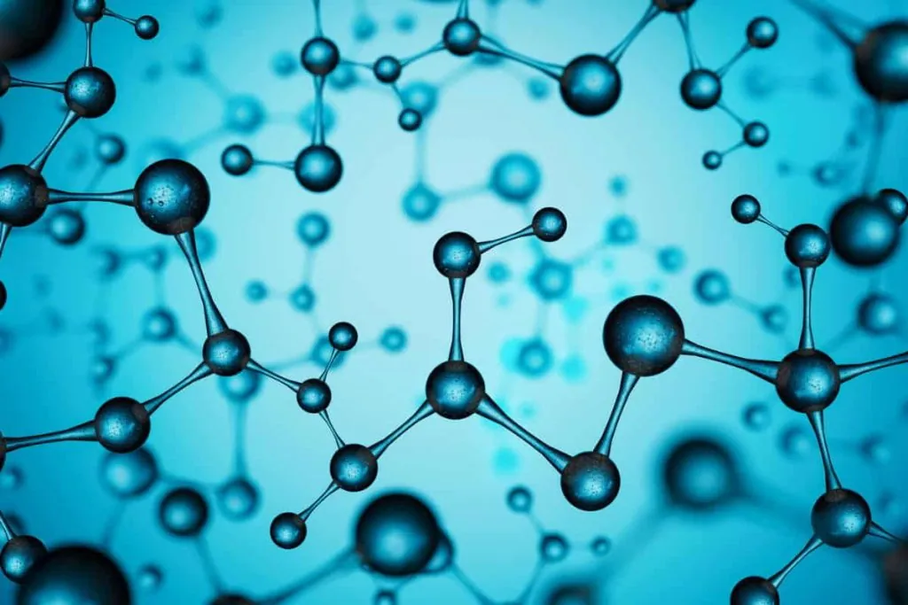 Clases de biología molecular